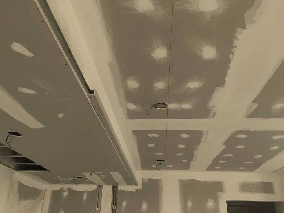Gypsum Board & Suspended Ceilings
